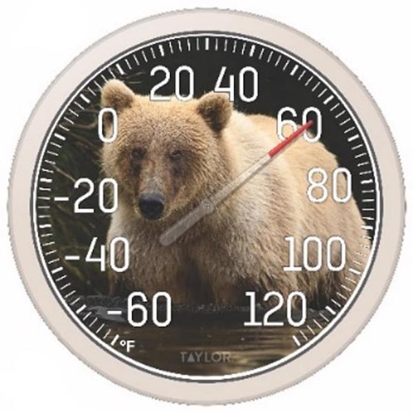 Taylor Taylor Bear Dial Thermometer Plastic Multicolored 13.25 in. 5307062 - main